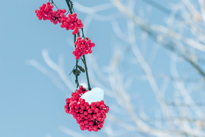 【萊沃醫(yī)療：知識(shí)分享】今日小雪，快“藏”好這份健康秘籍！
